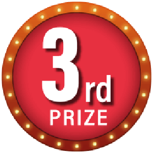 Prize 3